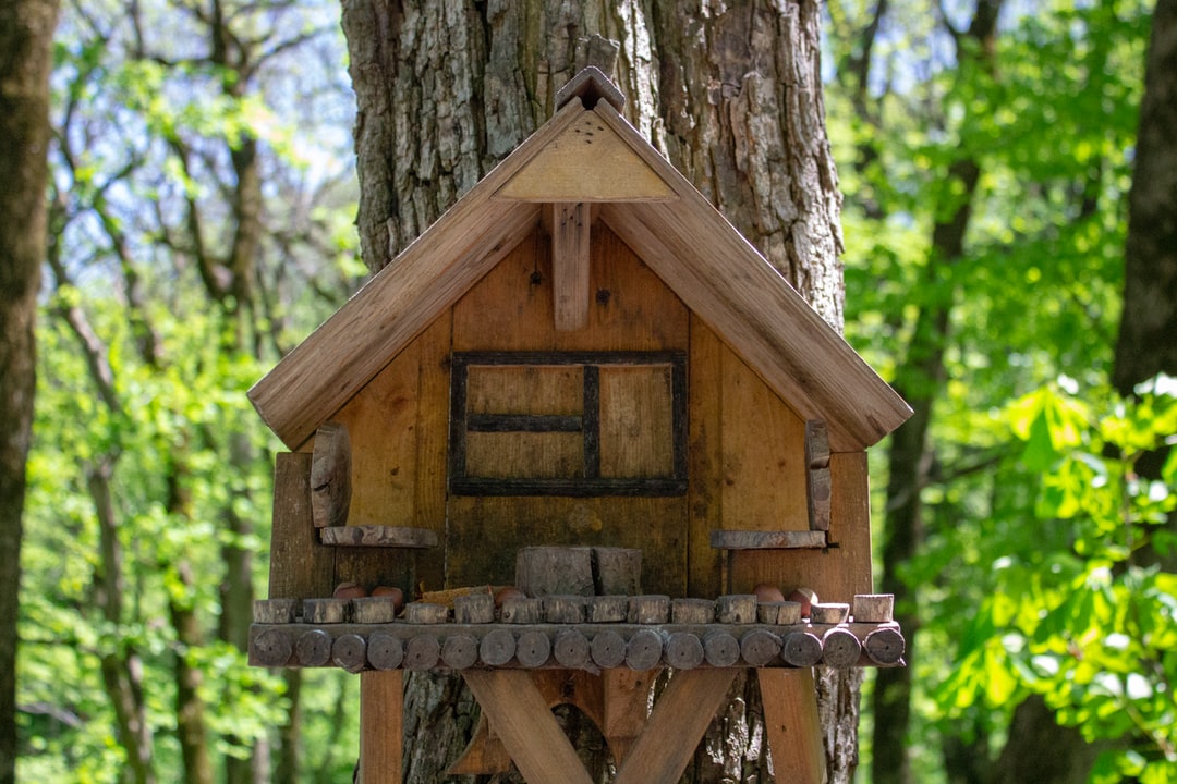 A birdhouse in a forest